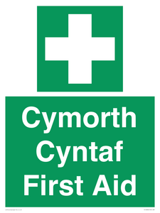 Cymorth Cyntaf First Aid in Welsh